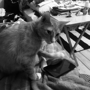 Meet your Posher, Caresse